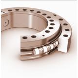 rotek slewing bearing